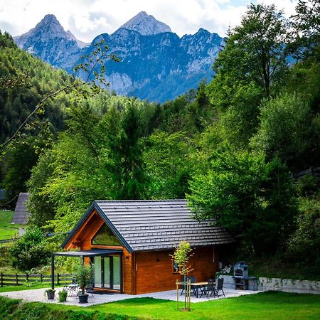 Radovna Chalet With Panoramic View モイストラナ エクステリア 写真