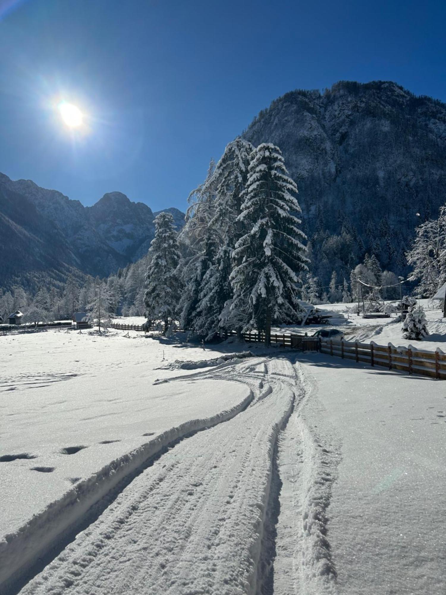 Radovna Chalet With Panoramic View モイストラナ エクステリア 写真